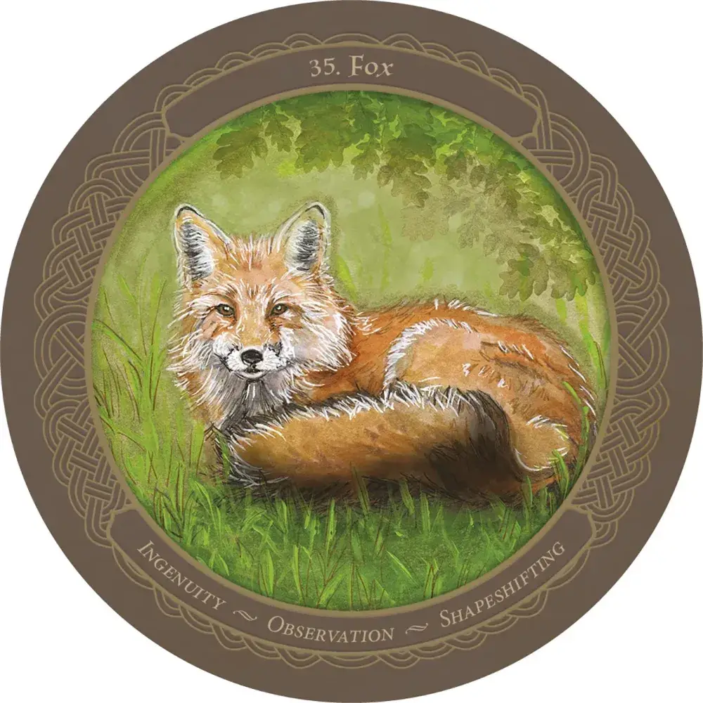 Enchanted Wheel Oracle Cards - 45-Card Divination Deck for Guidance &amp; Insight