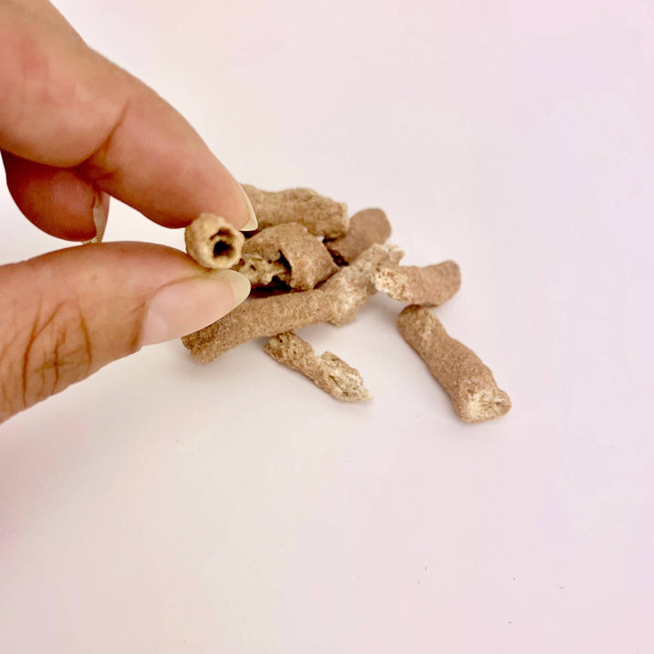 Fulgurite - Fossilized Lightning