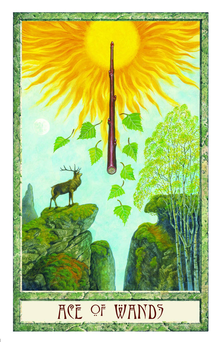 The Druidcraft Tarot — 78 Cards &amp; 192-Page Guidebook | Celtic Druid &amp; Wicca Tarot