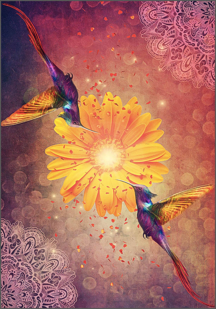 Hummingbird Wisdom Oracle Cards - 44-Card Deck &amp; Guidebook