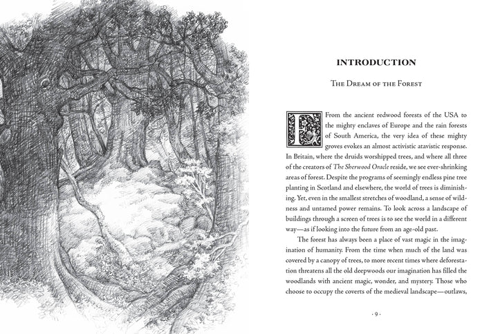 The Sherwood Oracle: Hidden Lore of the Wild Forest