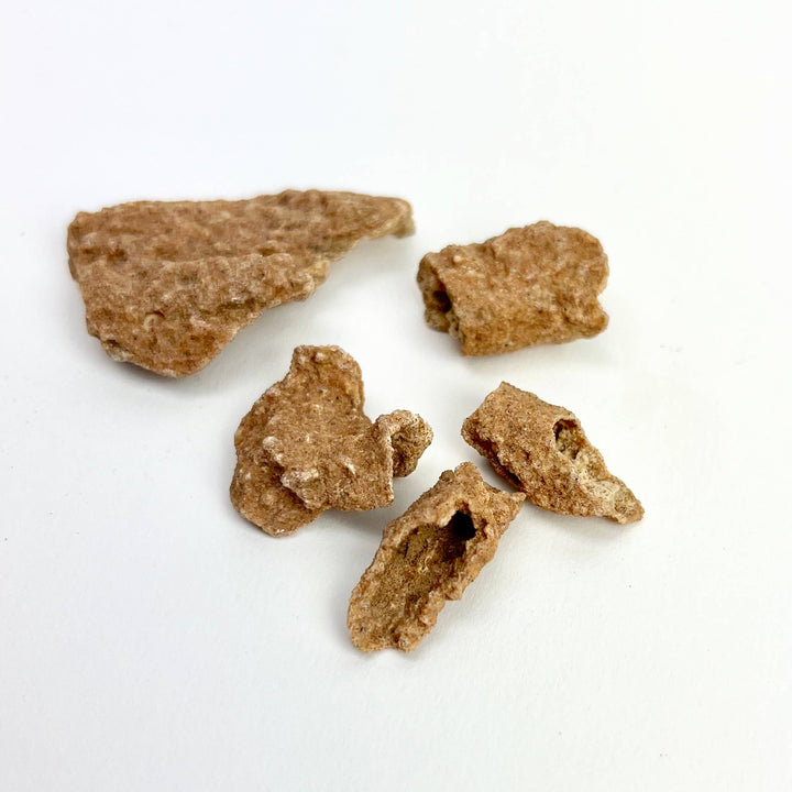Fulgurite - Fossilized Lightning