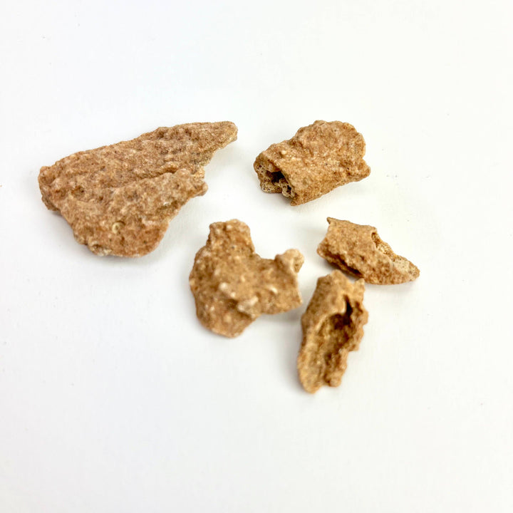 Fulgurite - Fossilized Lightning