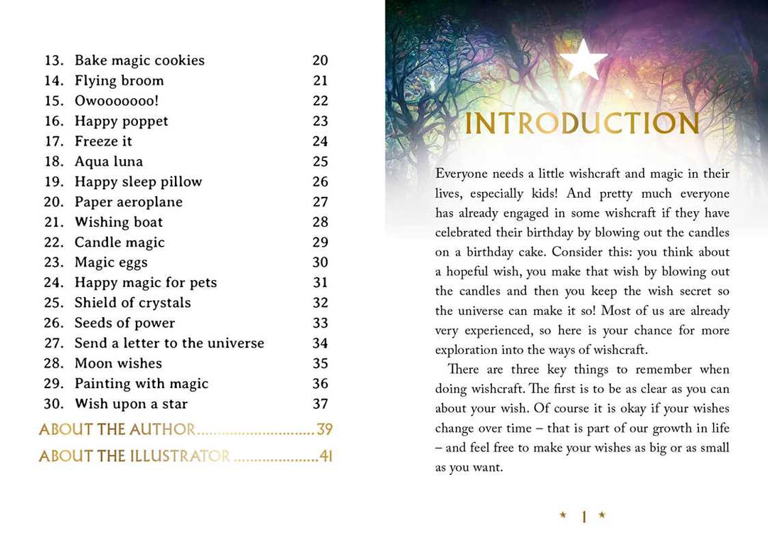 Wishcraft Oracle by Stacey Demarco
