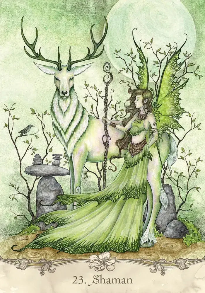 Amy Brown Fairy Wisdom Oracle Deck and Book Set
