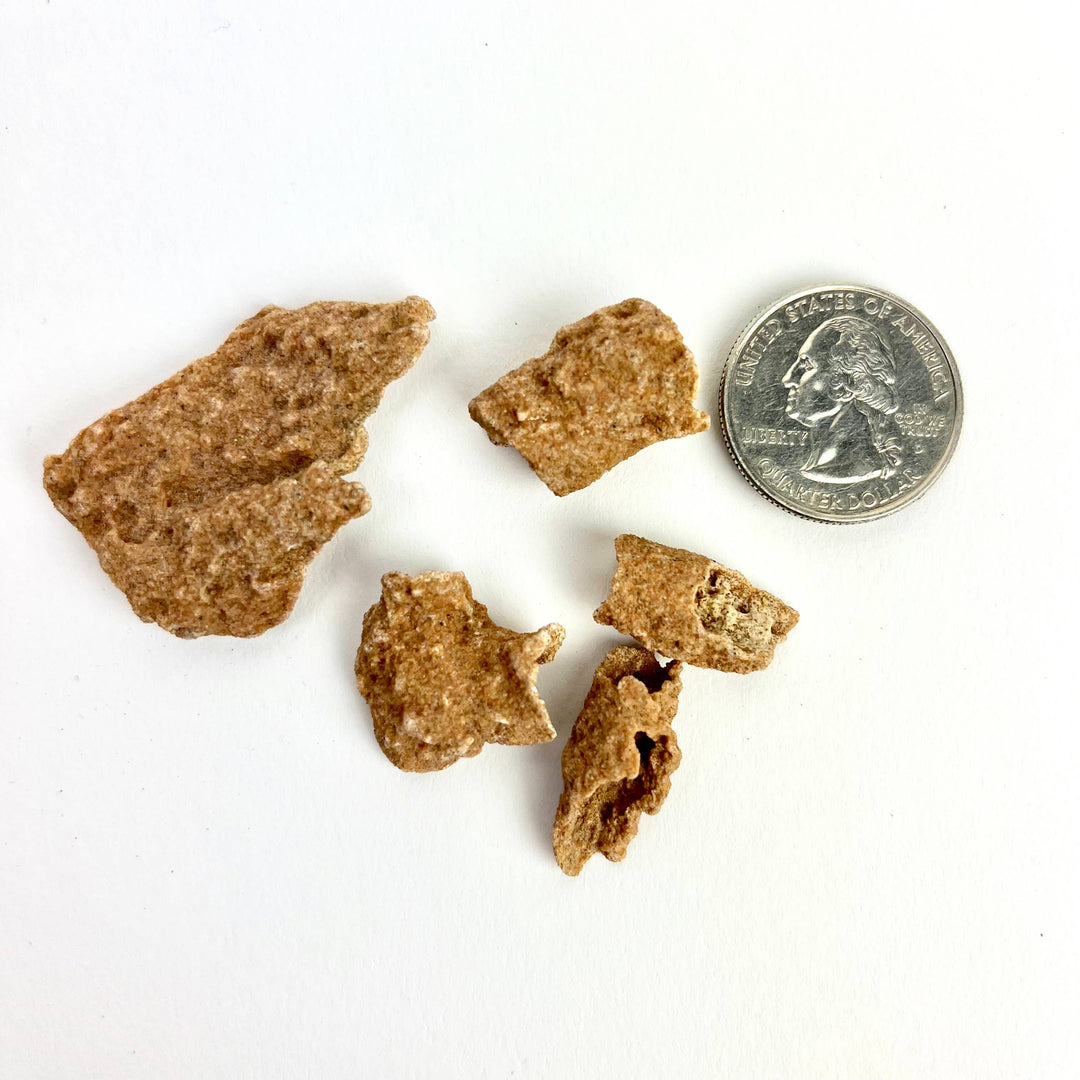 Fulgurite - Fossilized Lightning