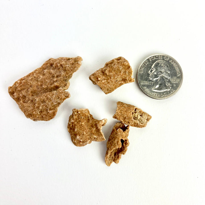 Fulgurite - Fossilized Lightning