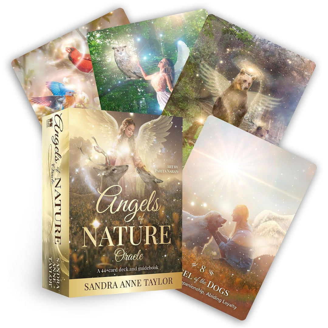Angels of Nature Oracle box and fanned cards by Sandra Anne Taylor showing nature angel artwork including birds, owl, and dog angel — 44-card oracle deck by Hay House