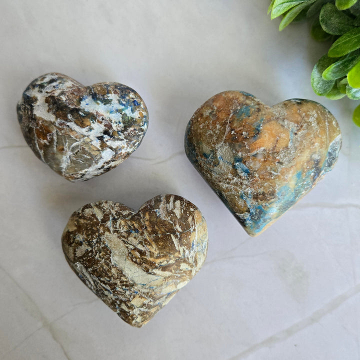 Azurite & Chrysocolla in Petrified Wood Heart