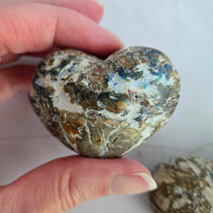 Azurite & Chrysocolla in Petrified Wood Heart