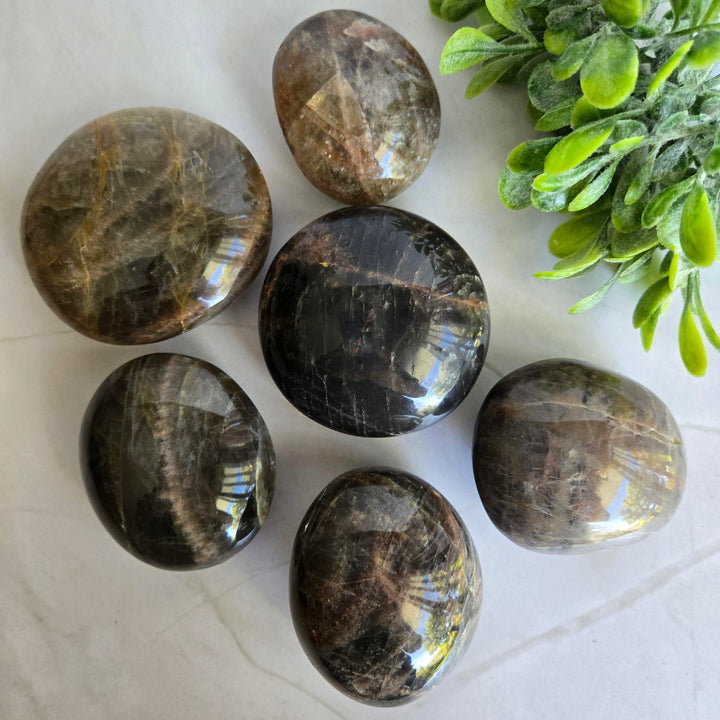 Black Moonstone Palm Stone