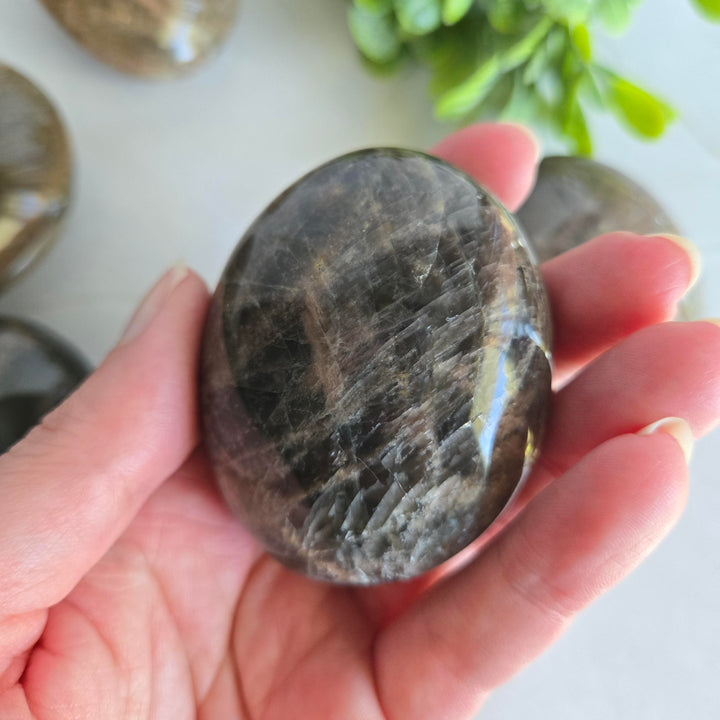 Black Moonstone Palm Stone