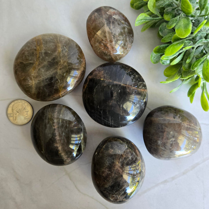 Black Moonstone Palm Stone
