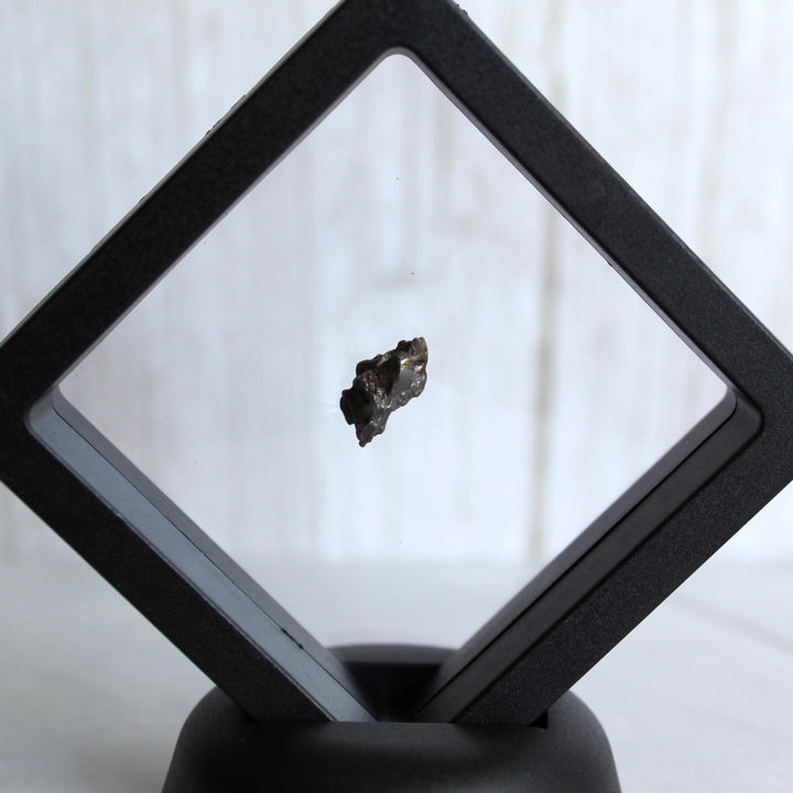 Campo del Cielo Meteorite in Case