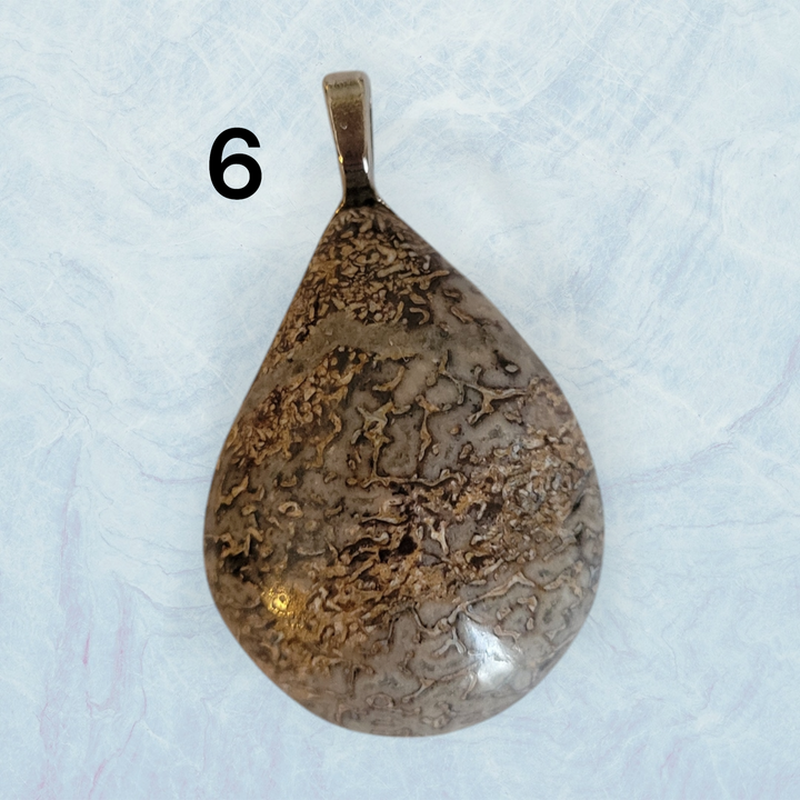 Genuine Fossil Dinosaur Bone Pendant
