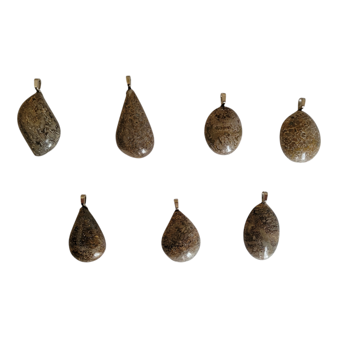 Genuine Fossil Dinosaur Bone Pendant