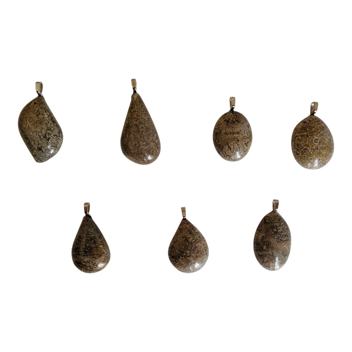 Genuine Fossil Dinosaur Bone Pendant