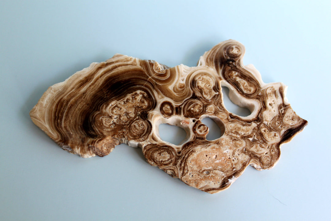 Chocolate Calcite Slice