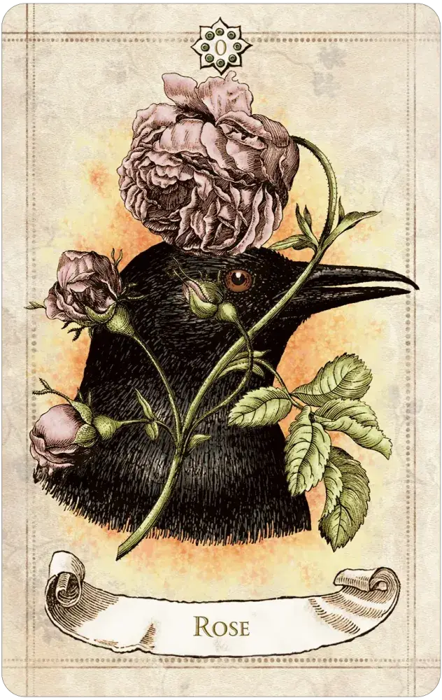 Rose Card Old Style Oracle by Alexander Ray