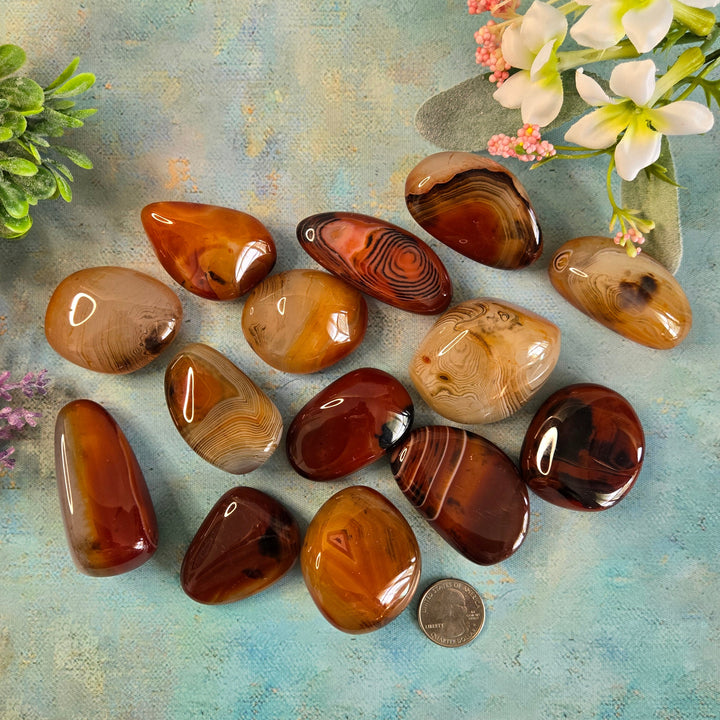 Sardonyx Palm Stone | Strength, Courage &amp; Grounding Crystal