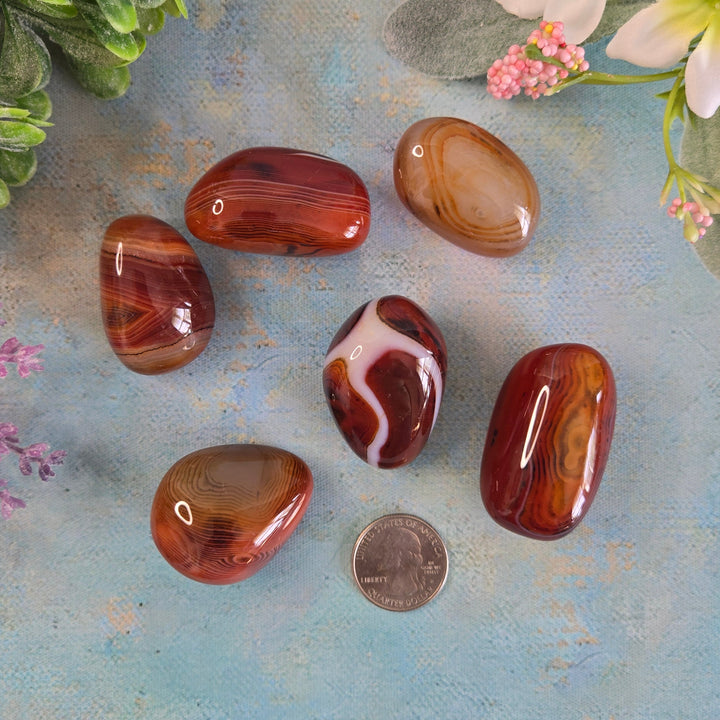 Sardonyx Palm Stone | Strength, Courage &amp; Grounding Crystal