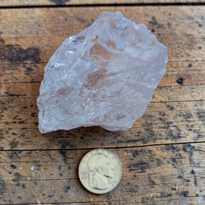 Large raw Satyaloka Quartz crystal from the Satyaloka Monastery, India, displayed next to a quarter for size reference on a rustic wood surface, showing broad translucent white formation with natural inclusions