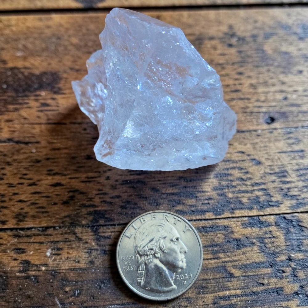 Medium raw Satyaloka Quartz crystal from the Satyaloka Monastery, India, displayed next to a quarter for size reference on a rustic wood surface, showing translucent white and clear clarity