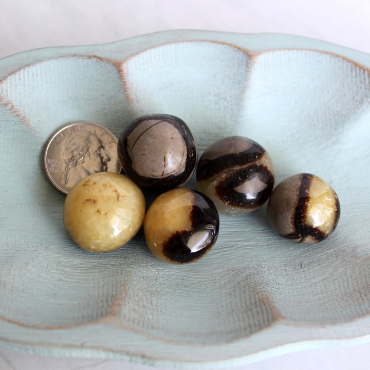 Septarian Tumble
