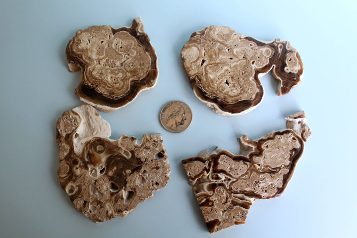 Chocolate Calcite Slice