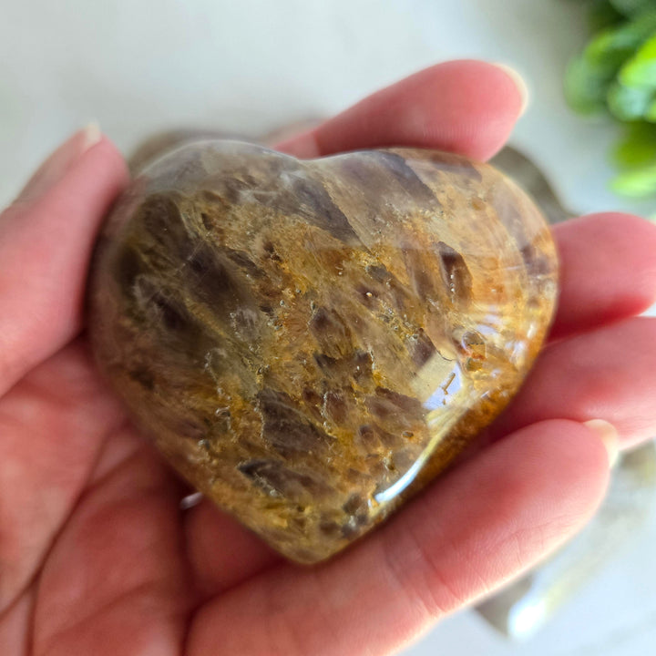 Super 7 Heart - Master Healer