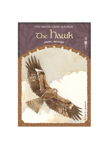 The Wisdom of Avalon Oracle Cards by Colette Baron-Reid