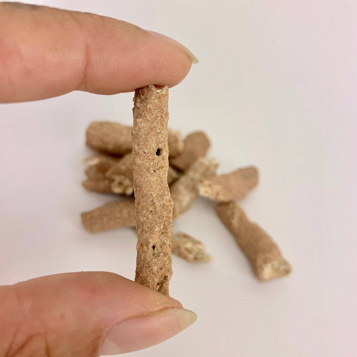 Fulgurite - Fossilized Lightning