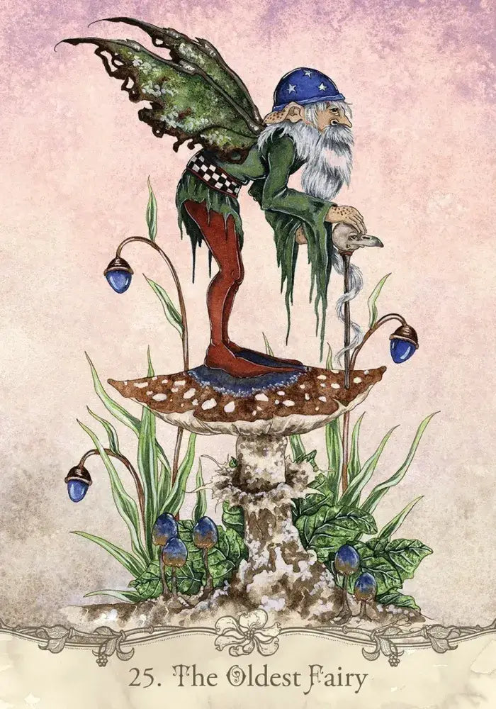 Amy Brown Fairy Wisdom Oracle Deck and Book Set