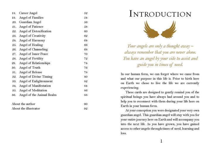 Angel Oracle Cards by Debbie Malone | 36-Card Deck &amp; Guidebook