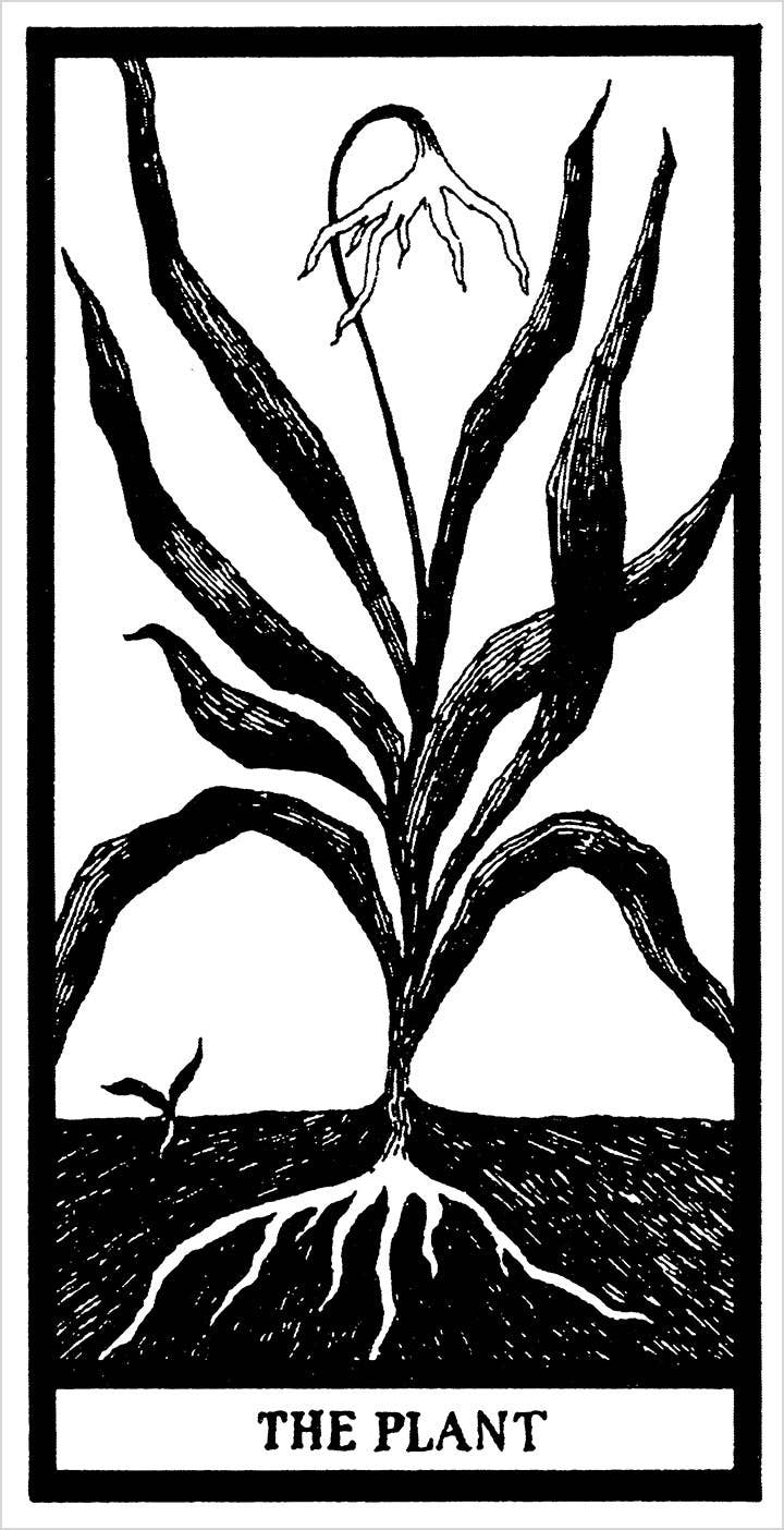 The Fantod Pack Tarot Card Deck by Edward Gorey