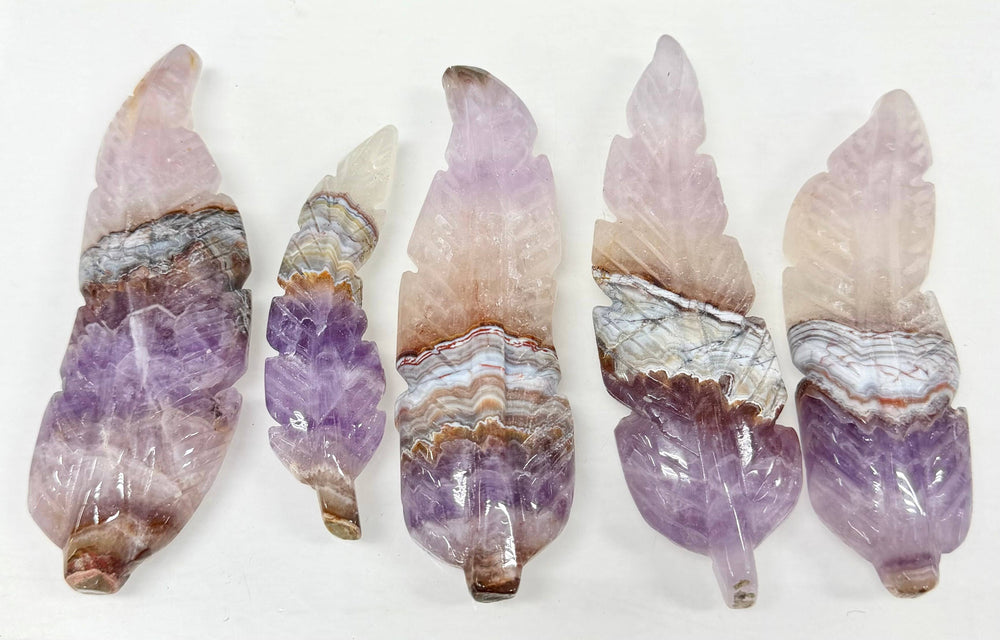 Five hand-carved amethyst lace agate feathers displayed upright on a white background, showing polished purple and banded agate patterning