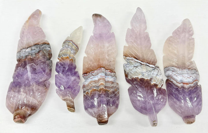 Five hand-carved amethyst lace agate feathers displayed upright on a white background, showing polished purple and banded agate patterning