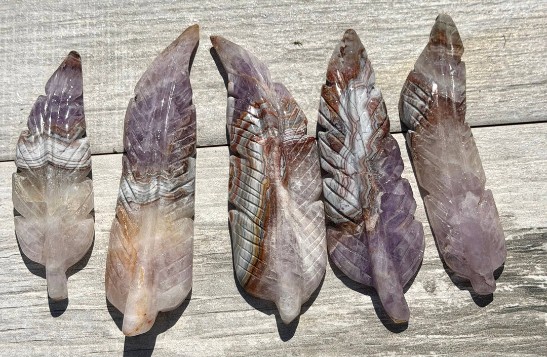 Five amethyst lace agate feather carvings displayed on a rustic wood surface in natural sunlight, showing warm purple and rust banding detail