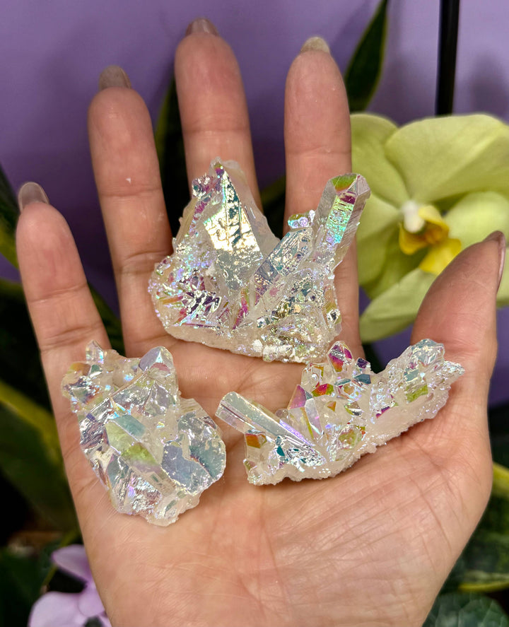 Three angel aura quartz clusters in small, medium, and large sizes held in an open palm against a purple background with orchids, showing iridescent rainbow crystal formations