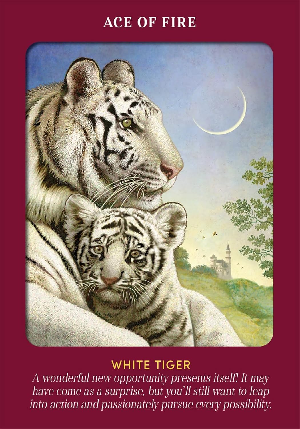 Ace of Fire card from Animal Guides Tarot, showing an adult white tiger and cub beneath a crescent moon.