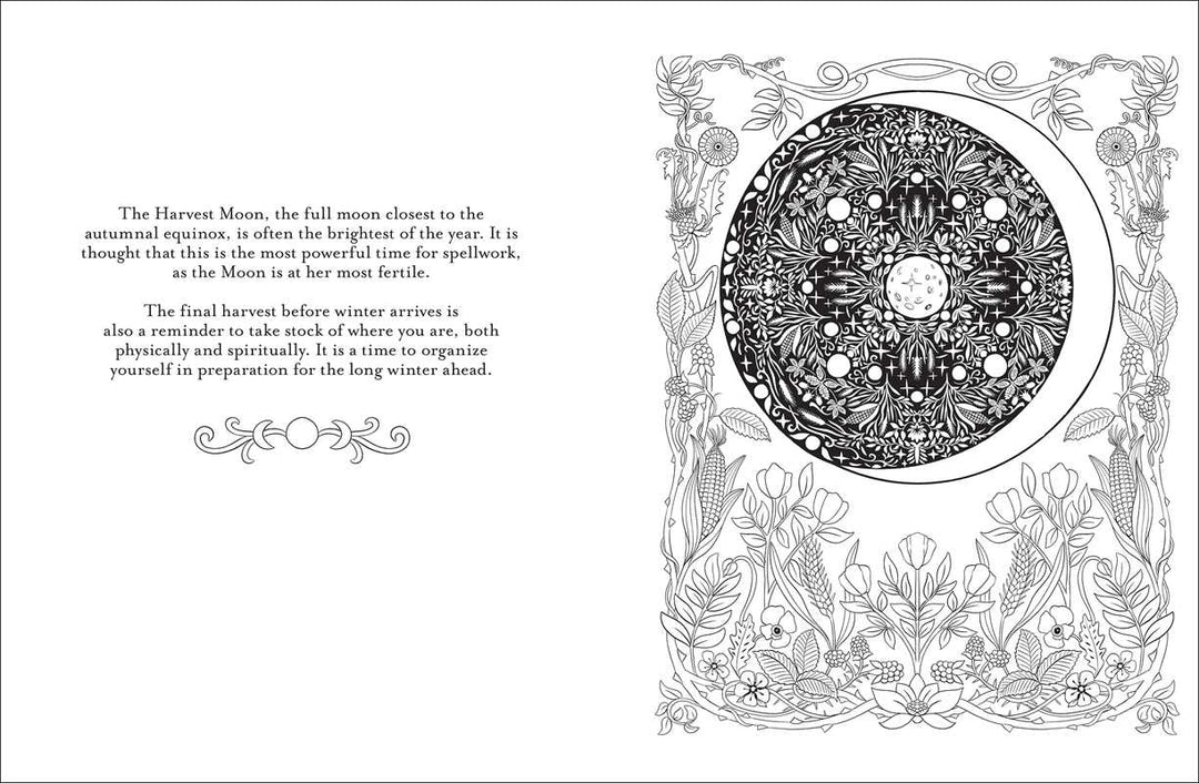Believe in Magic Coloring Book