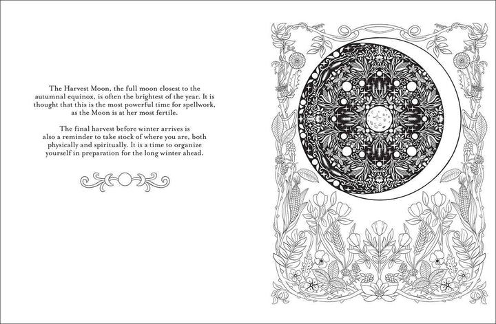 Believe in Magic Coloring Book