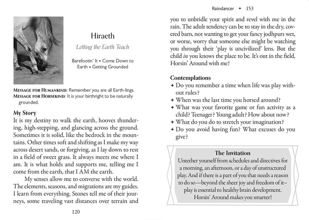 Council of Horses Oracle by Sandra Wallin | 40-Card Deck &amp; Guidebook