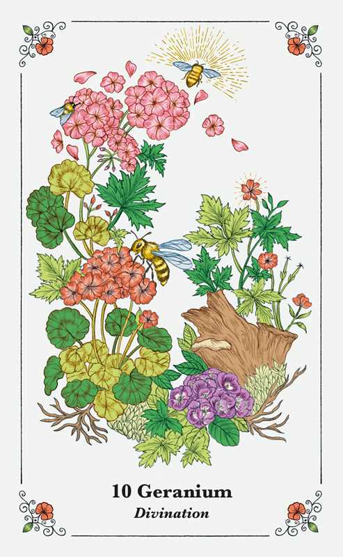 Spirits in Flowers Oracle Deck by Gillian Kemp