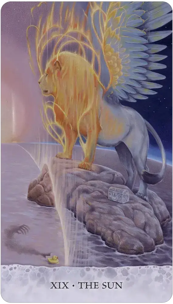 Tarot of Tides: Duck Named Bob - 78 Card Deck & Guidebook