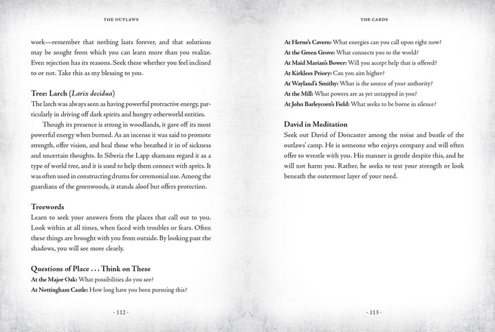 The Sherwood Oracle: Hidden Lore of the Wild Forest