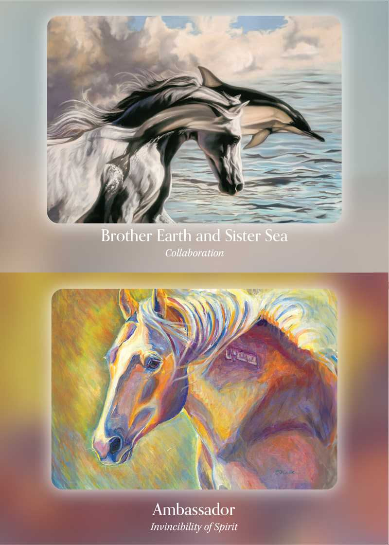 Council of Horses Oracle sample cards — Ambassador Invincibility of Spirit and Brother Earth and Sister Sea Collaboration