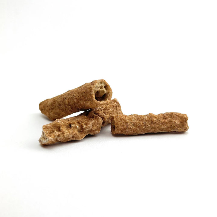 Fulgurite - Fossilized Lightning