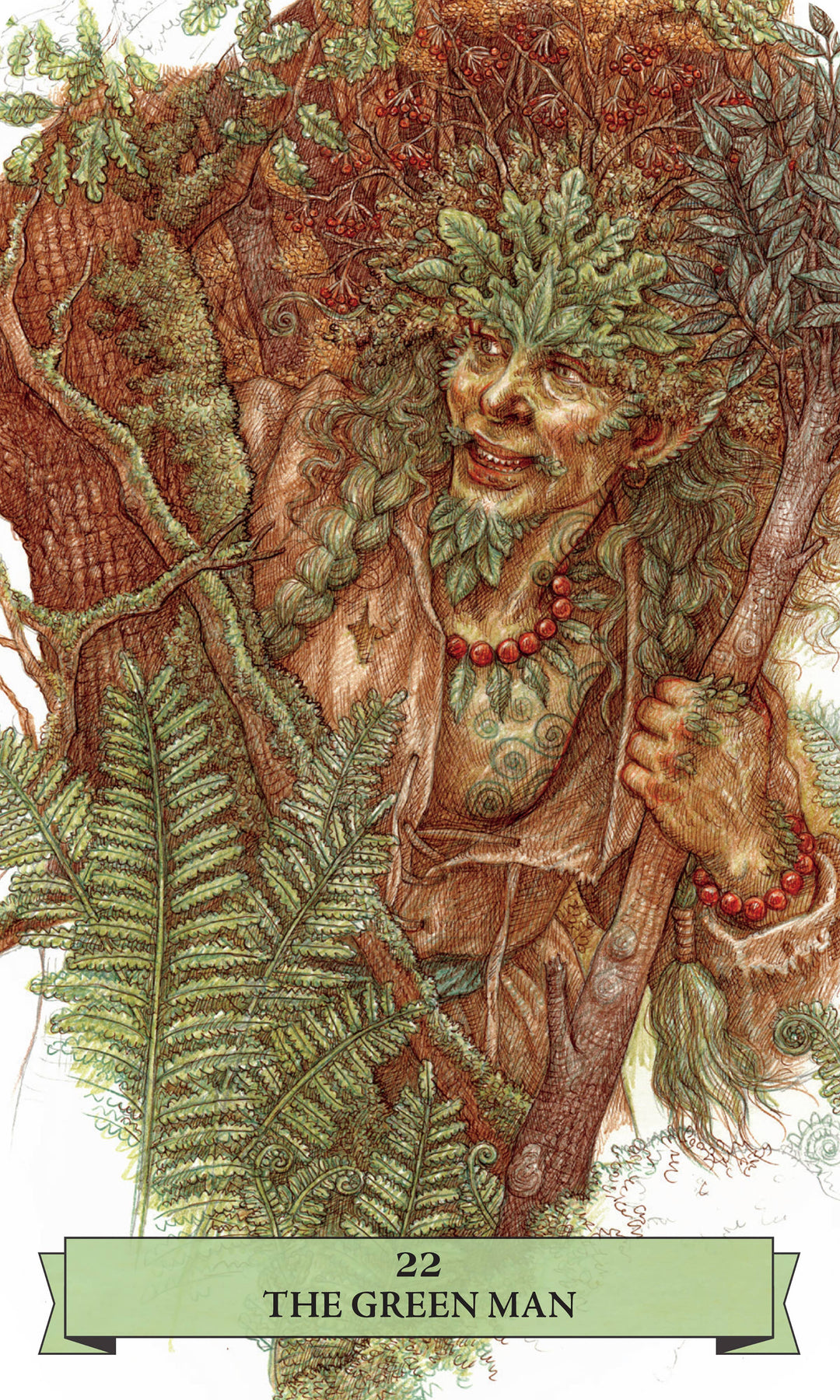 The Sherwood Oracle: Hidden Lore of the Wild Forest