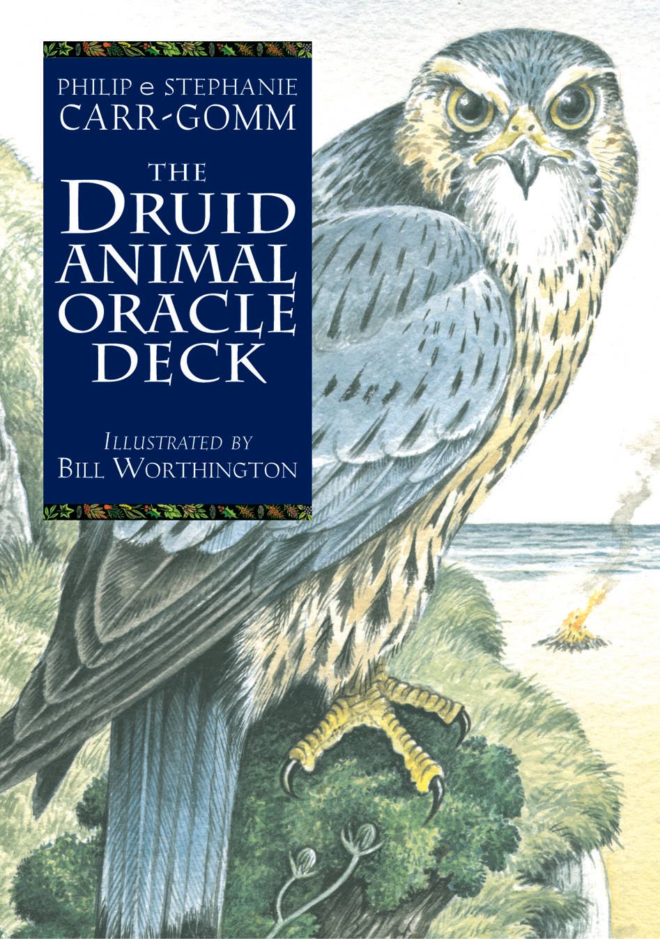 The Druid Animal Oracle Deck cover featuring a falcon perched on a coastal cliff — illustrated by Bill Worthington, by Philip and Stephanie Carr-Gomm